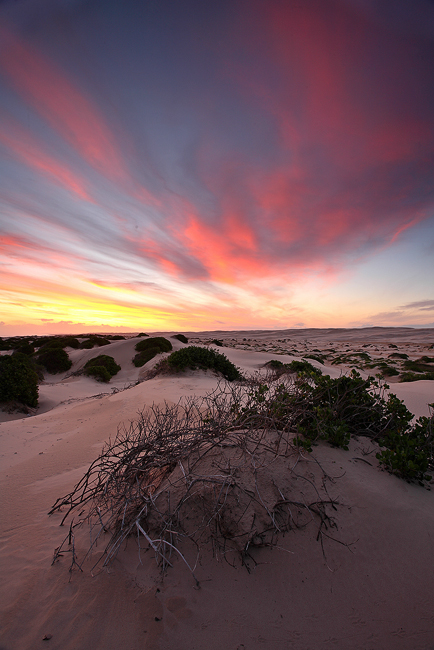 Anna Bay