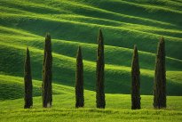 Tuscany waves