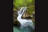 Lepenjica stream