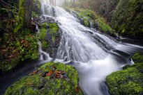 Beaver´s falls