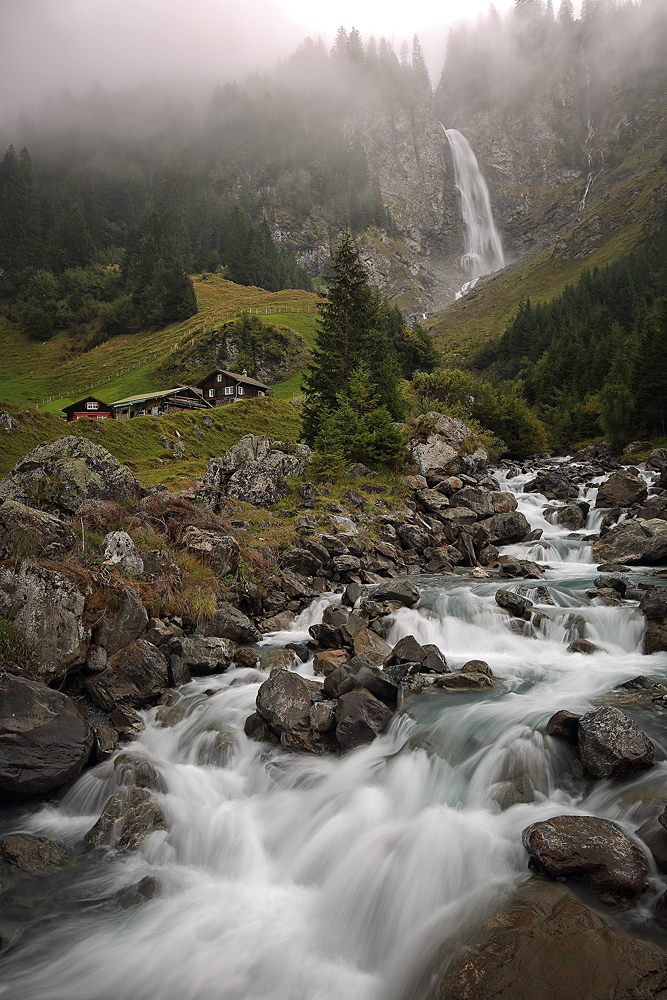 Stäubifall