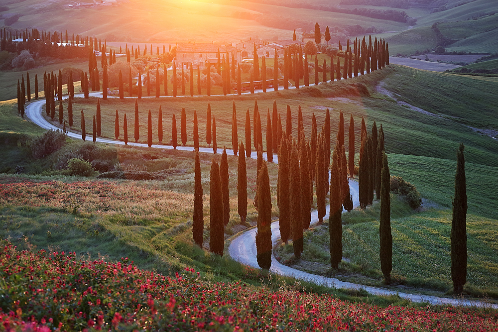 Baccoleno