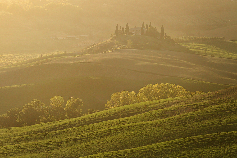 Podere Belvedere