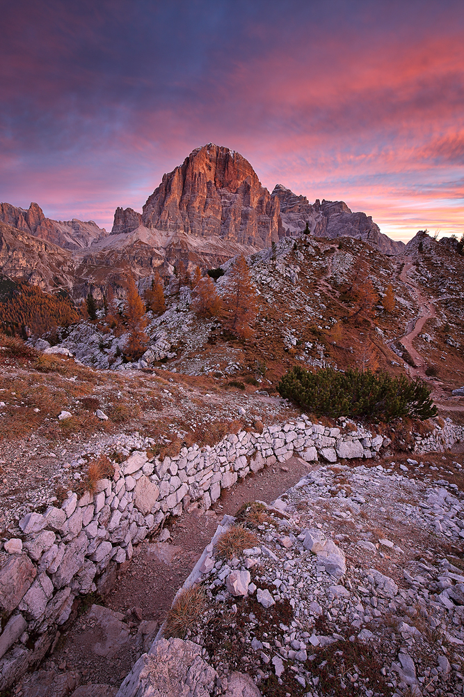 Tofana di Rozes