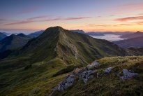 Brechhorn