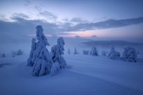 Frosty sunrise