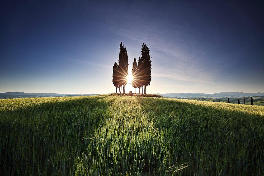Toskánské ráno