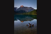 Yoho, national park