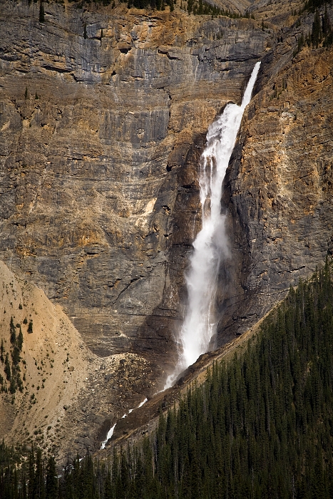 Yoho, national park
