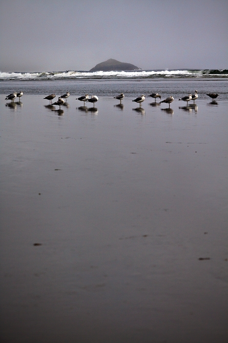 Pacific Rim, national park, Vencouver island