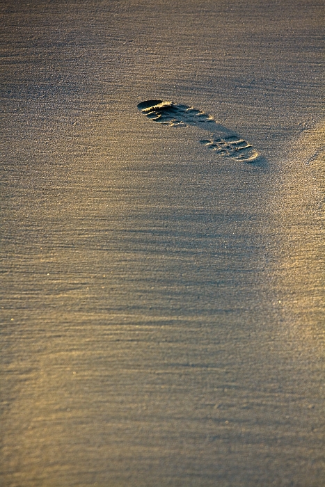 Pacific Rim, national park