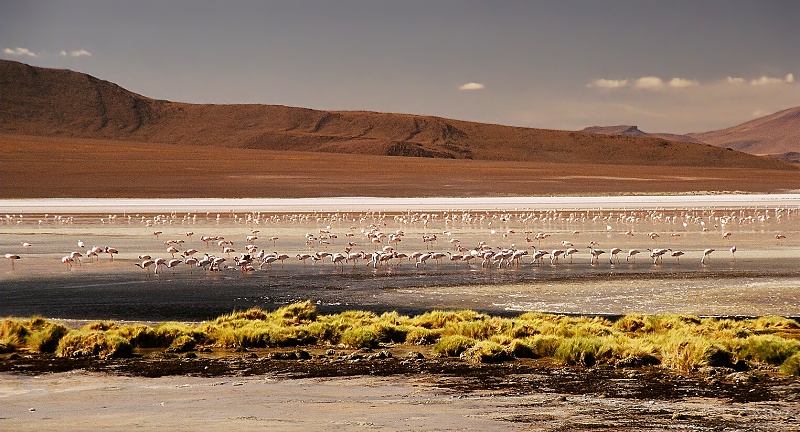 Altipláno, Bolivia