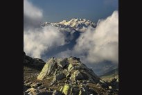 Masiv Monte Rosa, Walliské Alpy