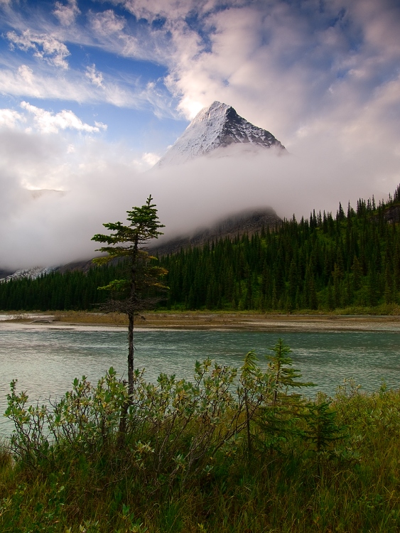 Berg Lake Trail