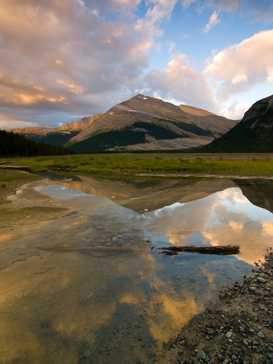 Berg Lake Trail