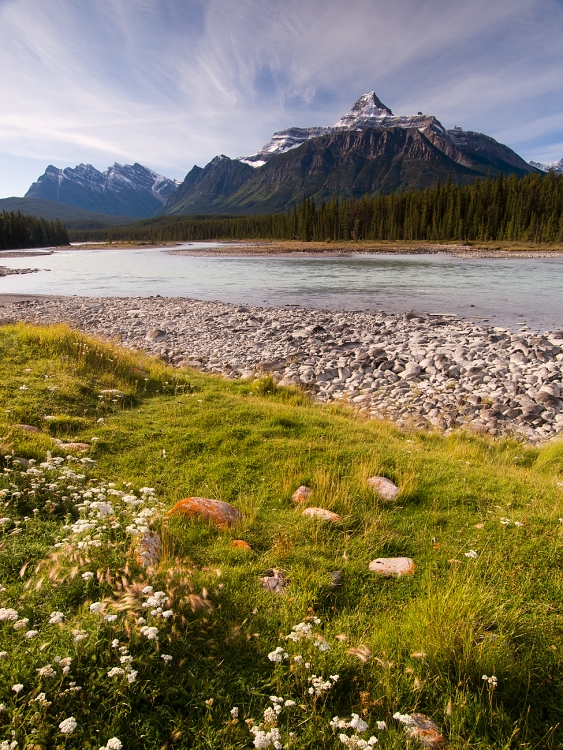 Rockies