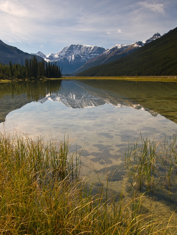 Rockies