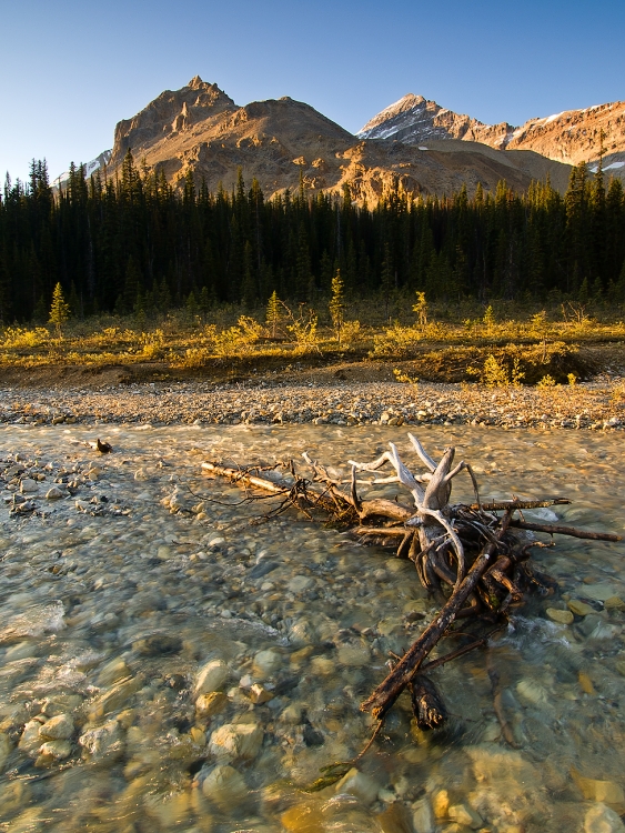 Iceline trail