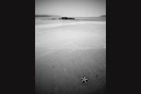 Vancouver Island