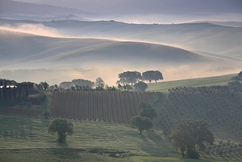 Val D´Orcia