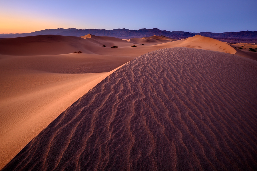 Mesquite Dunes
