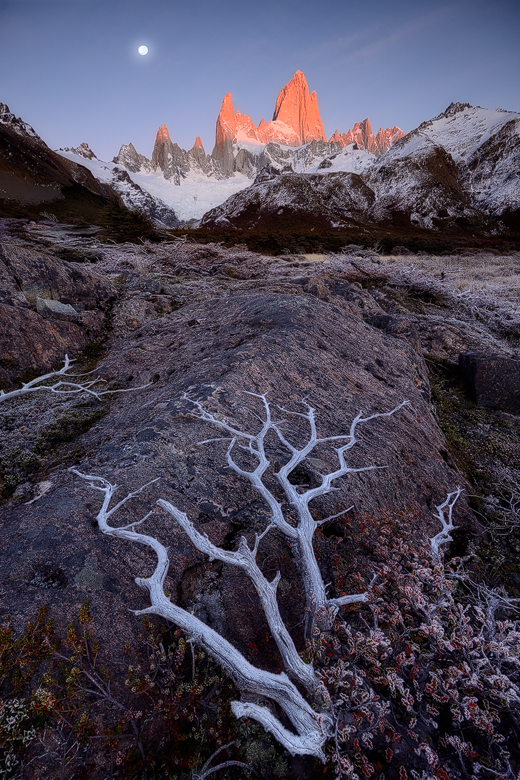 Fitz Roy