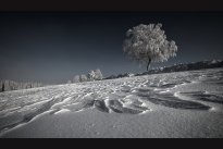 Winter Vysočina