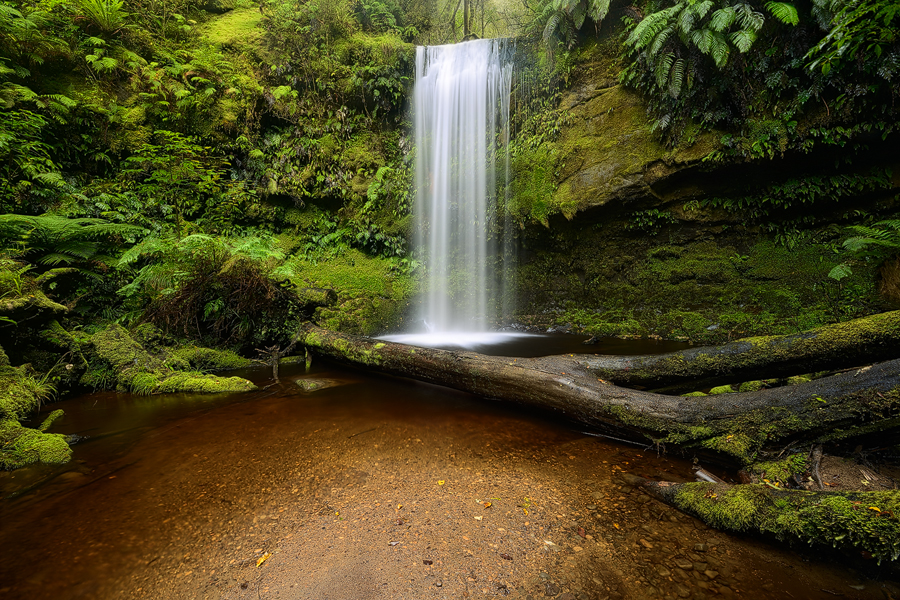 Koropuku