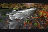 Kamenice river