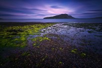 Holy Isle