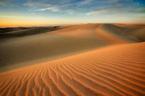 Ráno v písečných dunách