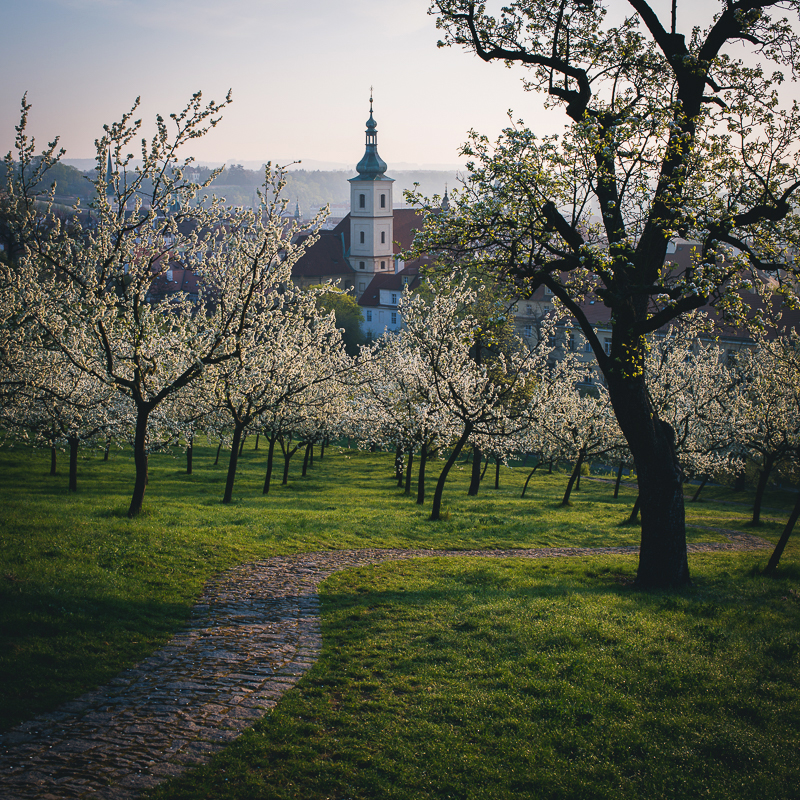Jarní Petřín