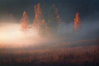 Jizera Mountains