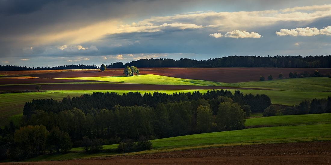 Havlíčkova Borová, Vysočina