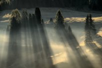 Sunrise haze
