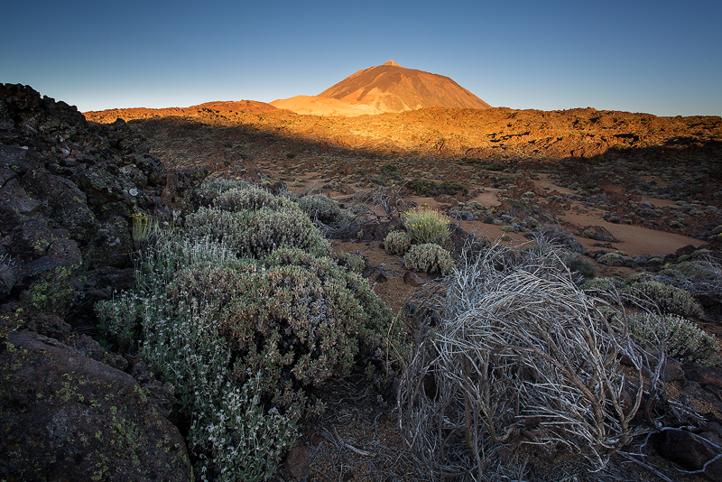 Pico del Teide