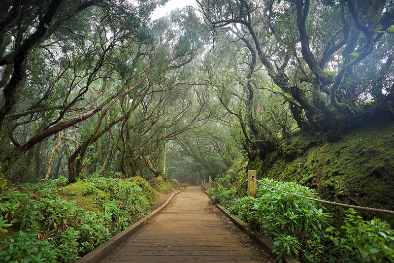 Anaga rural park