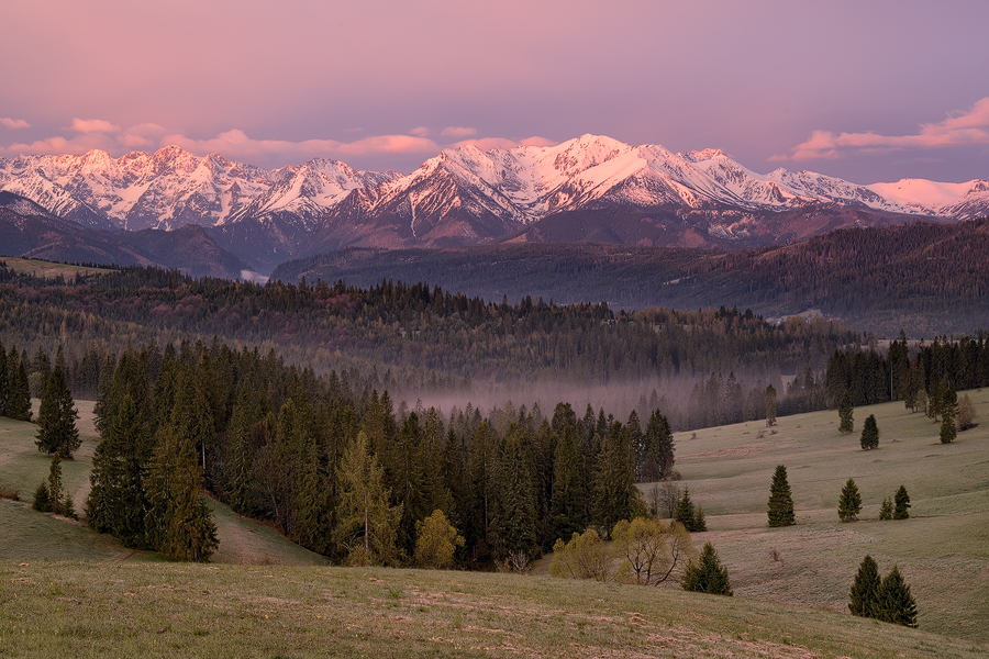 Vysoké Tatry