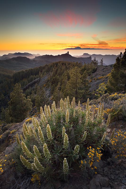 Na vrcholu Gran Canaria