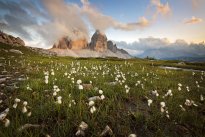 Letní Tre Cime di Lavaredo